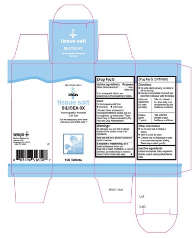62106-1061-2 (Silicea 6x)